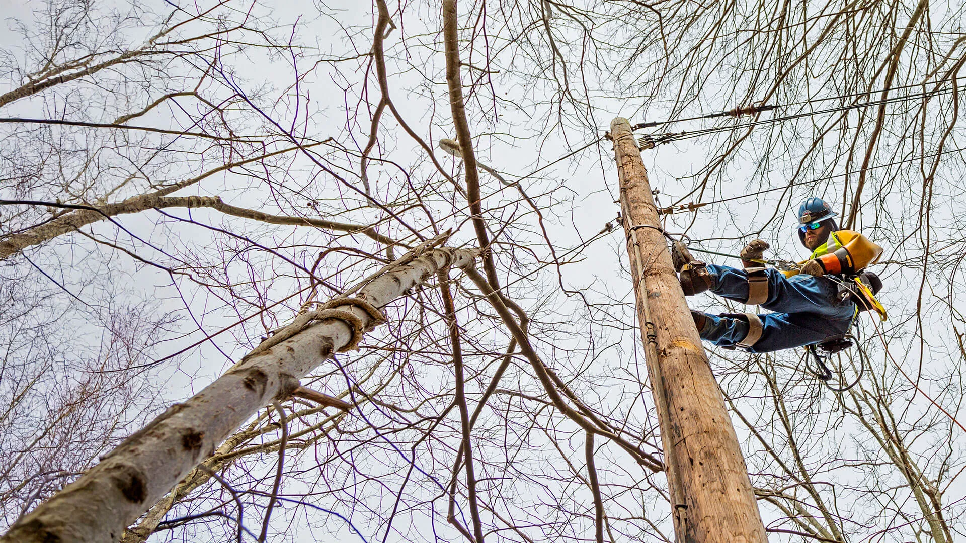 Electric Overview Optimized Graphic